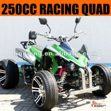 250CC ATV Quad Bike 250 (Racing )